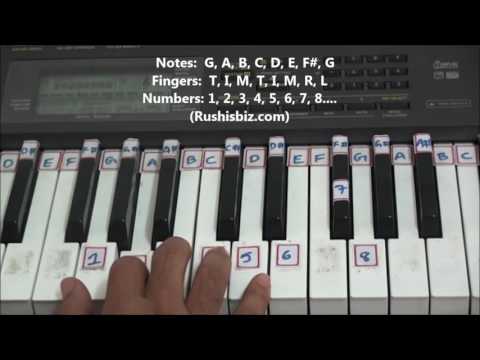 'G' Major Scale - Right hand finger pattern for Single Octave